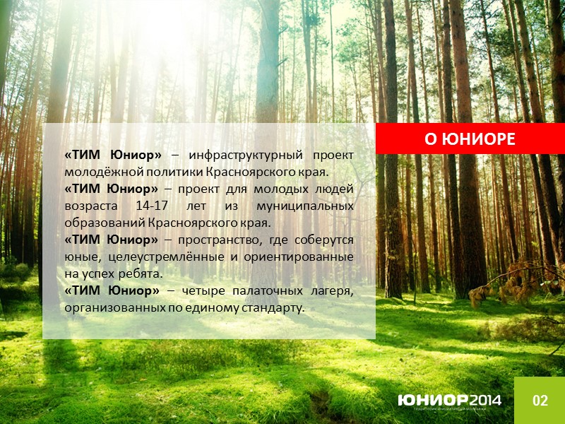 02 О ЮНИОРЕ «ТИМ Юниор» – инфраструктурный проект молодёжной политики Красноярского края. «ТИМ Юниор»